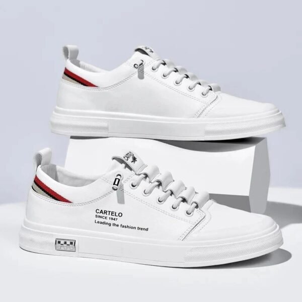 1719501343WhatsApp Image 2024-06-27 at 9.55.41 AM Cartelo Since 1947