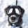 Lentes Googles para Perro Grande + Estuche