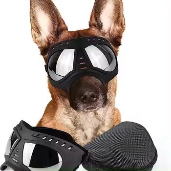 Lentes Googles para Perro Grande + Estuche