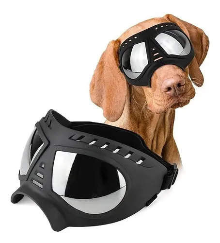 Lentes Googles para Perro Grande + Estuche