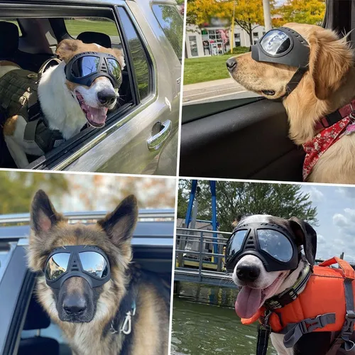 Lentes Googles para Perro Grande + Estuche