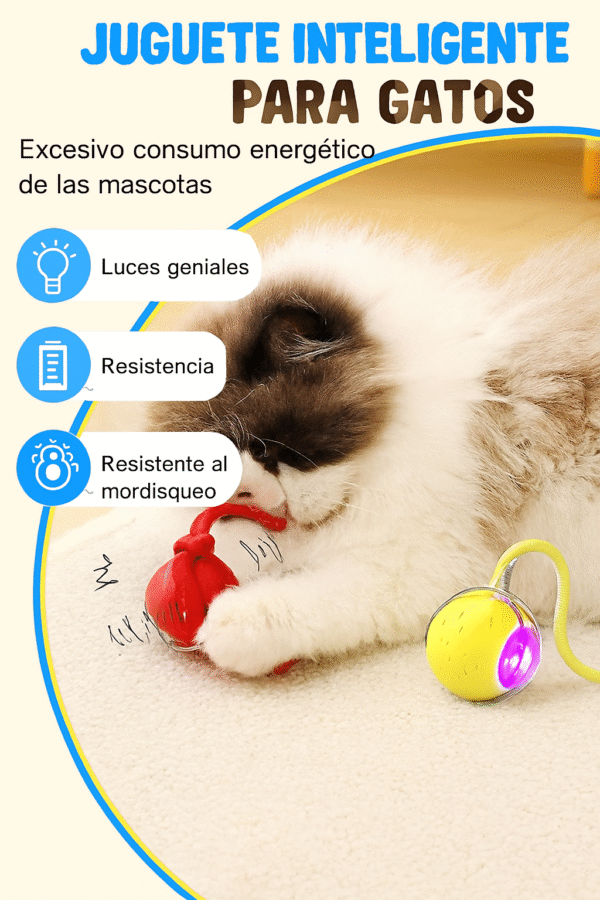 Pelota Interactiva para Mascotas