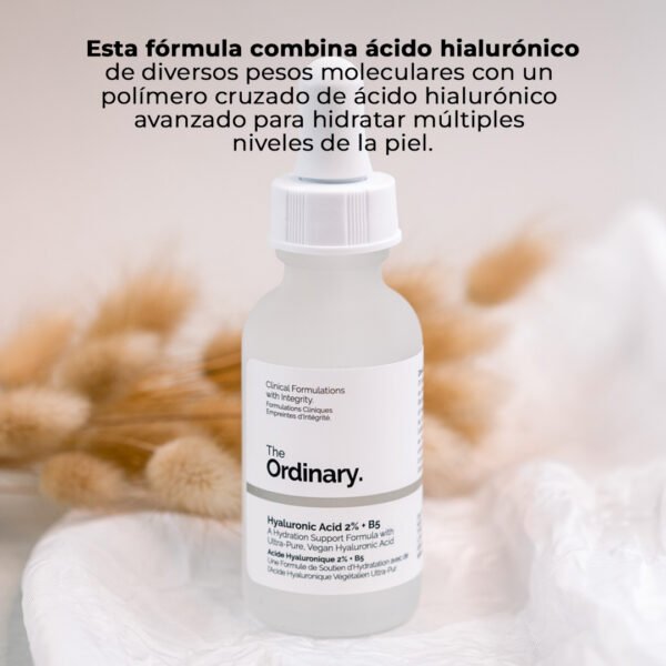 Ácido Hialurónico 2%+B5 The Ordinary