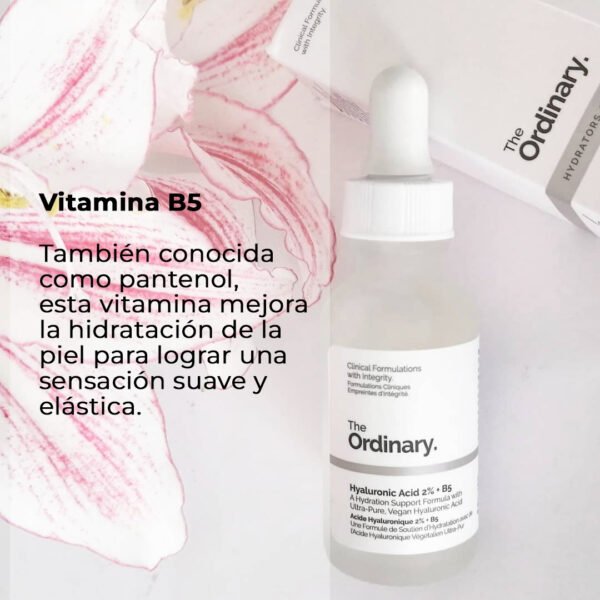 Ácido Hialurónico 2%+B5 The Ordinary
