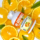NH Advance Vitamina C + Zinc